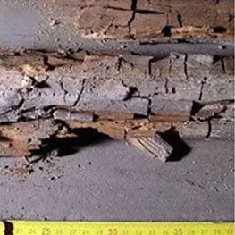 Building Survey